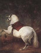 Diego Velazquez A White Horse (df01) oil painting artist